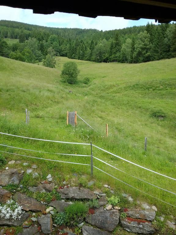 Almwiese Apartment Stadl an der Mur Exteriér fotografie